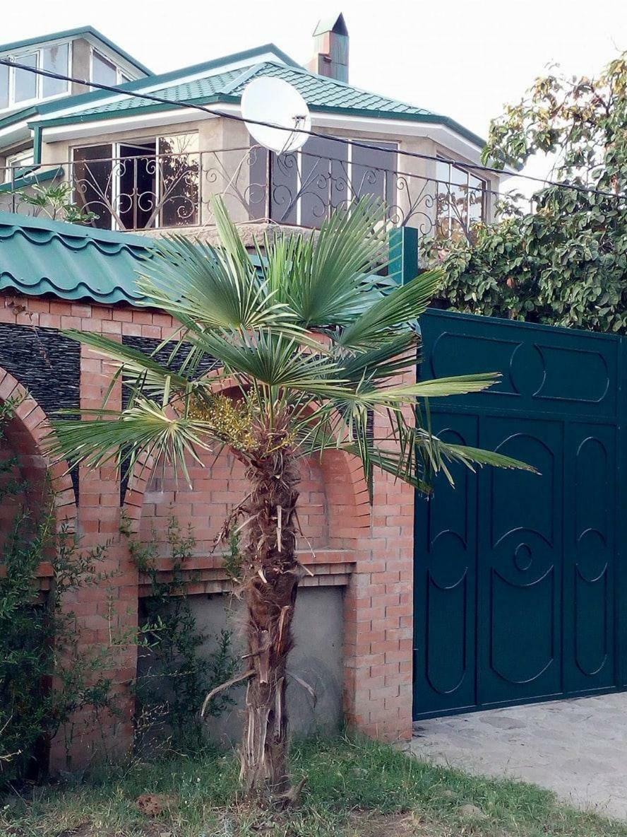 Green House Kachretʼi Zewnętrze zdjęcie